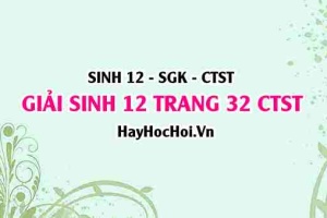 Giải Sinh 12 trang 32 Chân trời sáng tạo SGK